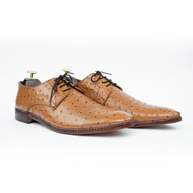 TROSTEN OSTRICH BROWN 01