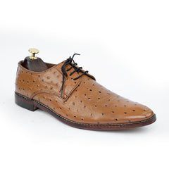 TROSTEN OSTRICH BROWN 01