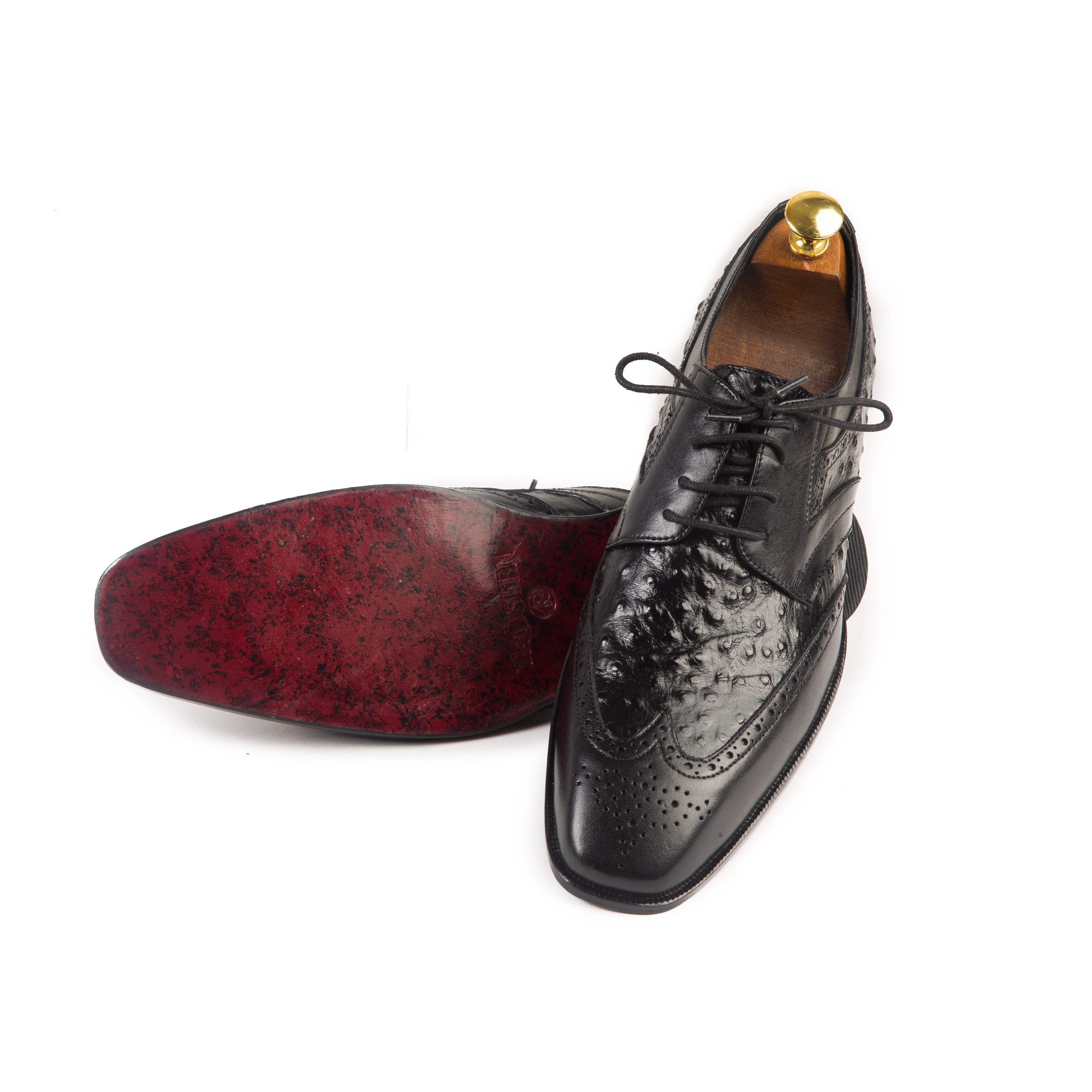 TROSTEN OXFORD OSTRICH 110